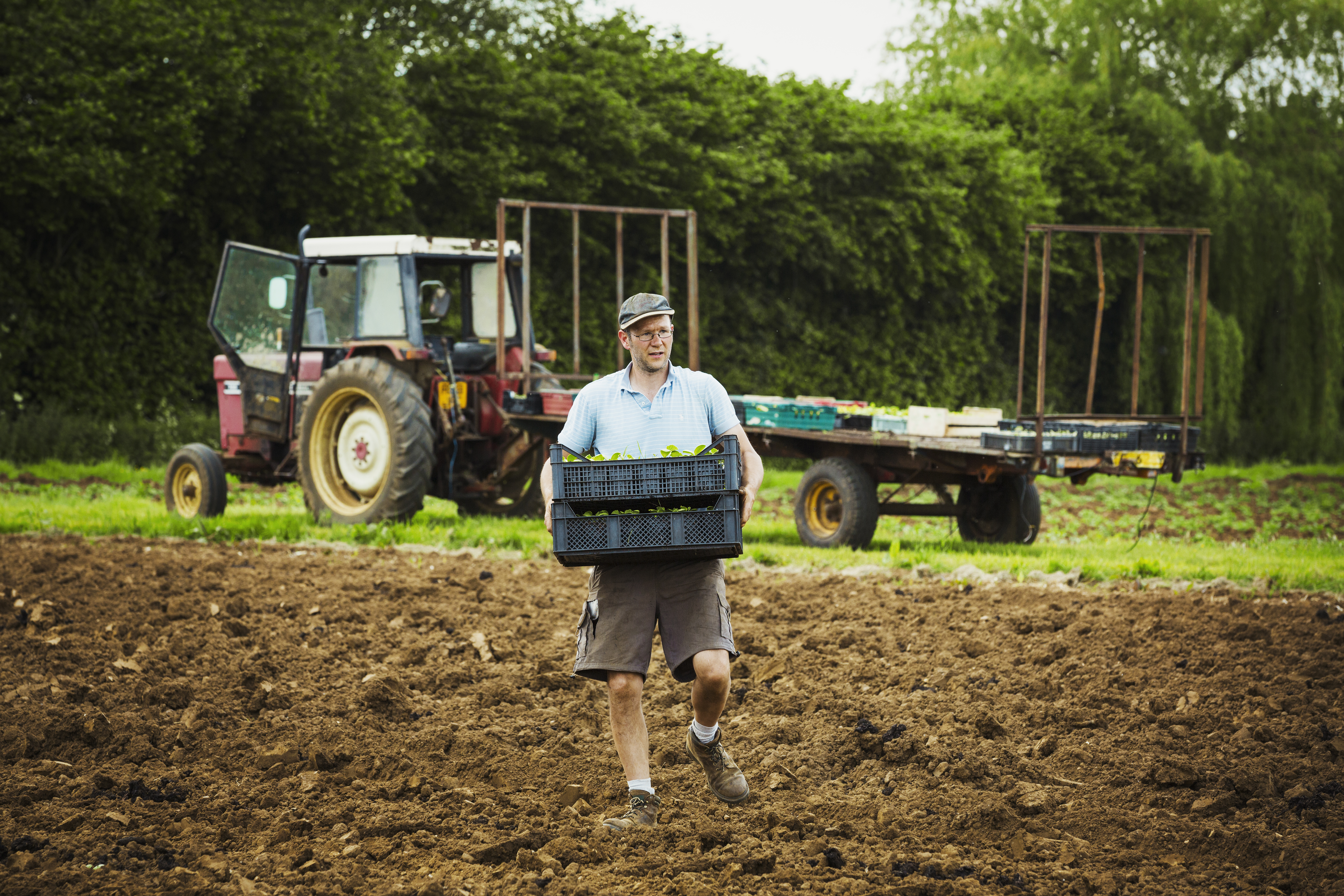 Trabajo en el campo